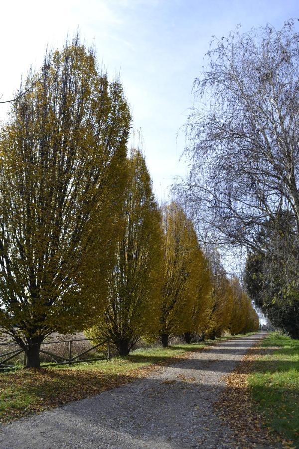 Agriturismo Fiamberta Bed & Breakfast Certosa di Pavia Dış mekan fotoğraf