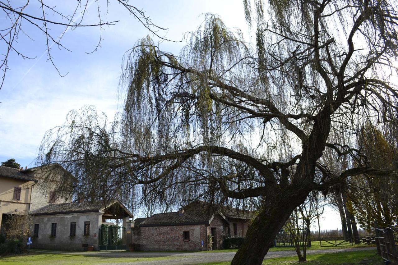 Agriturismo Fiamberta Bed & Breakfast Certosa di Pavia Dış mekan fotoğraf